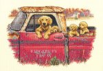 (image for) Golden Ride Counted Cross Stitch Kit